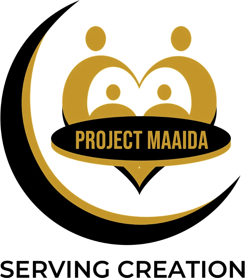 Project Maaida — Serving Creation